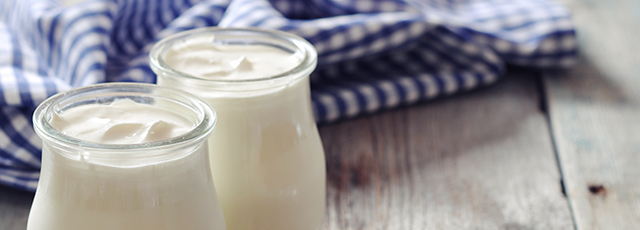 Yogurt Varieties | A-Z kosher