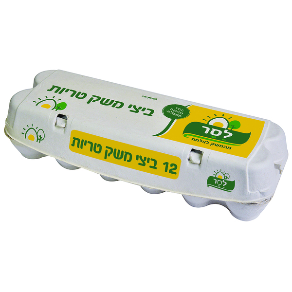 ביצים 12  יח`XL פיקוח