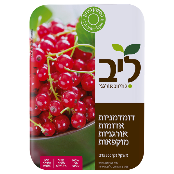 דומדמניות אדומות אורגני ליב 300 גרם