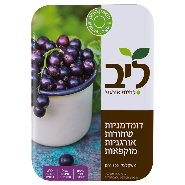 דומדמניות שחורות אורגני ליב 300 גרם