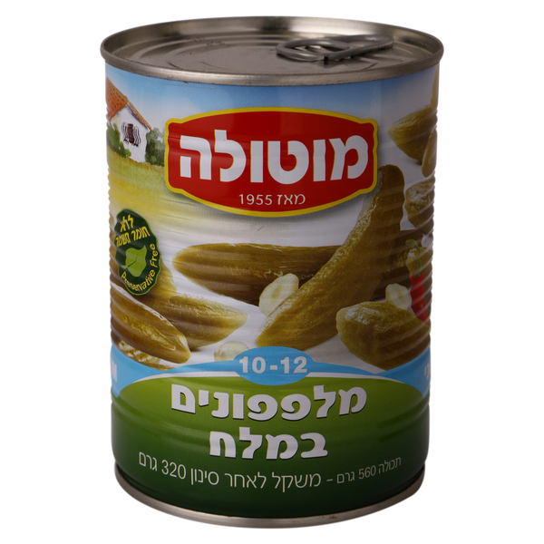 מלפפון במלח 10-12 56