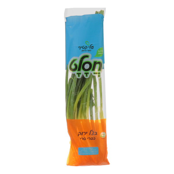 בצל ירוק חסלט