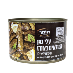 תומר עלי גפן ממולא א