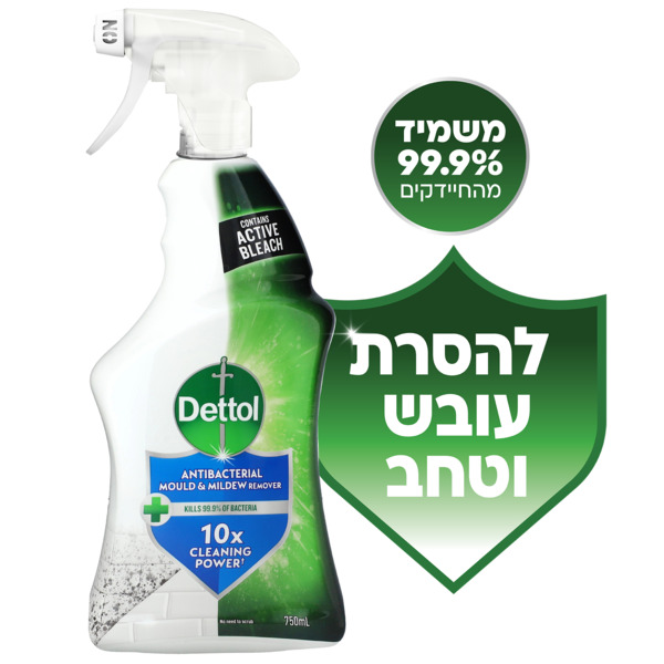 דטול ספריי לניקוי וה