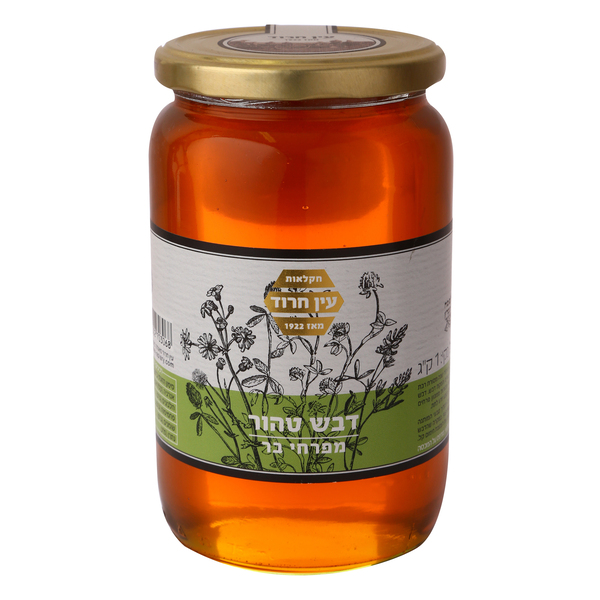 דבש טהור בצנצנת