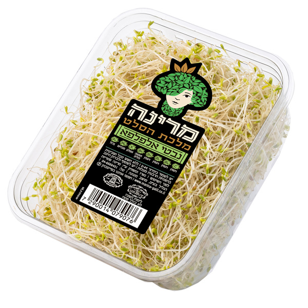נבטי אלפלפא 150גרם