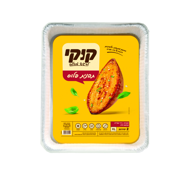 תבנית אלומיניום עם נ