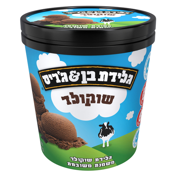 גלידה בן ג'ריס פיינטים שוקולד 500ג'