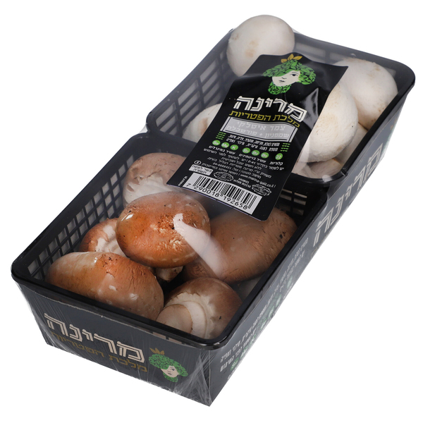 פטריות טריות מיקס מרינה זוגי 250X2ג'