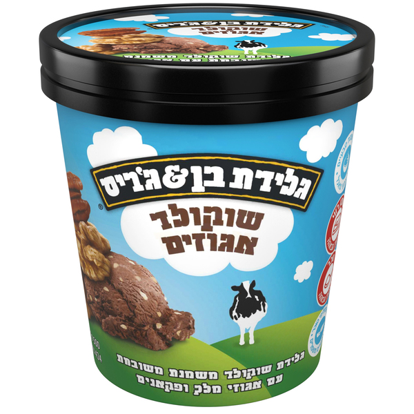 בן & ג'ריס
