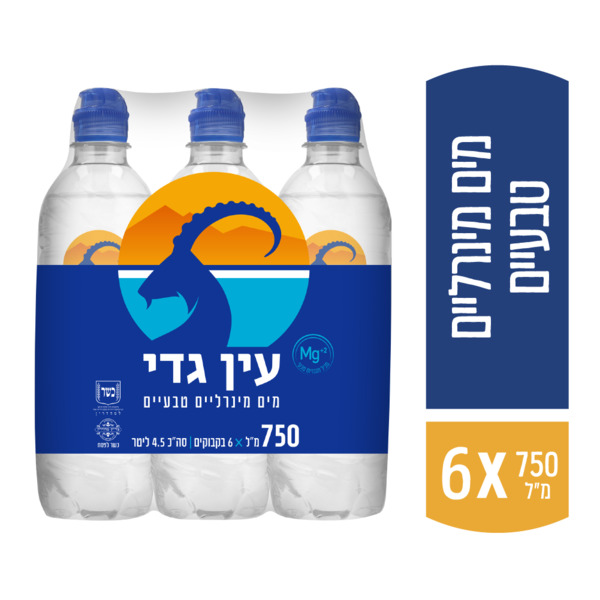 מים מינרלים עין גדי