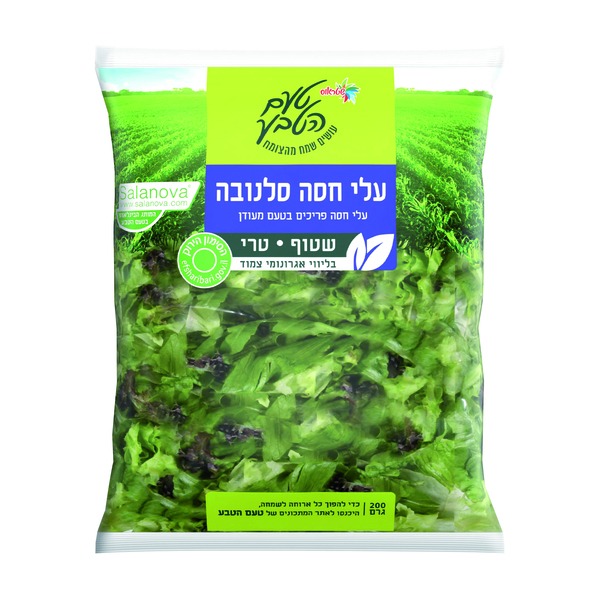 עלי סלנובה טעם הטבע