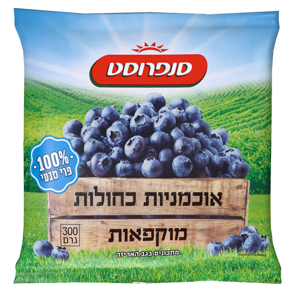 אוכמניות כחולות מוקפאות סנפרוסט 300 גרם