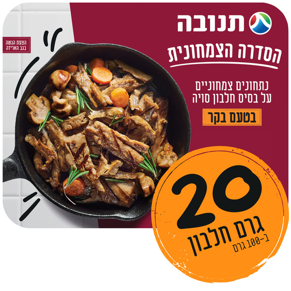 נתחונים צמחוניים על בסיס חלבון סויה בטעם בקר