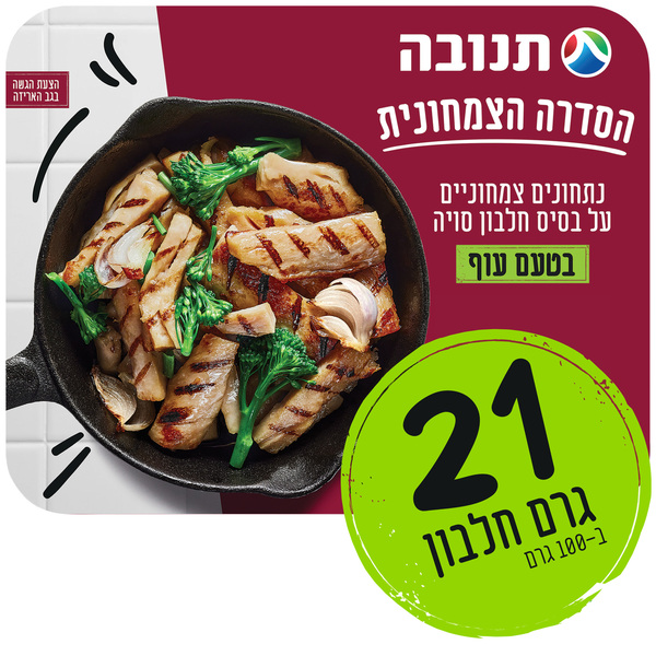 נתחונים צמחוניים על בסיס חלבון סויה בטעם עוף