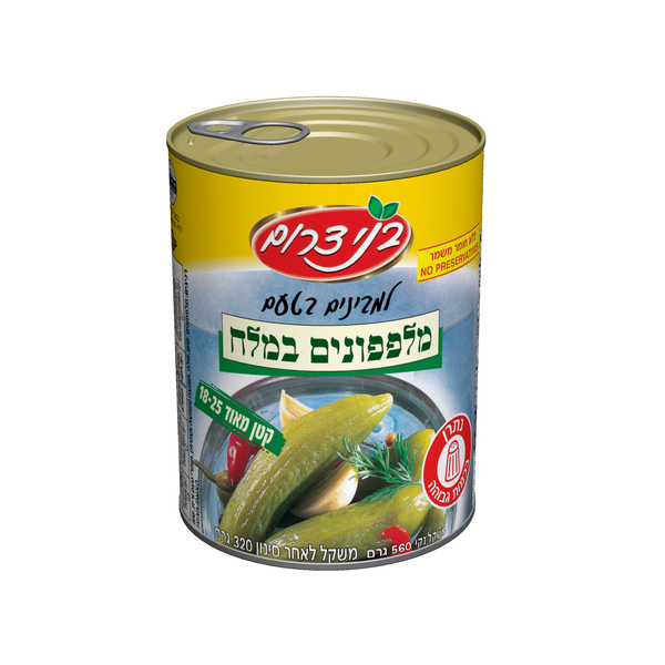 מלפפון במלח 18-25 -- A2 - בני דרום