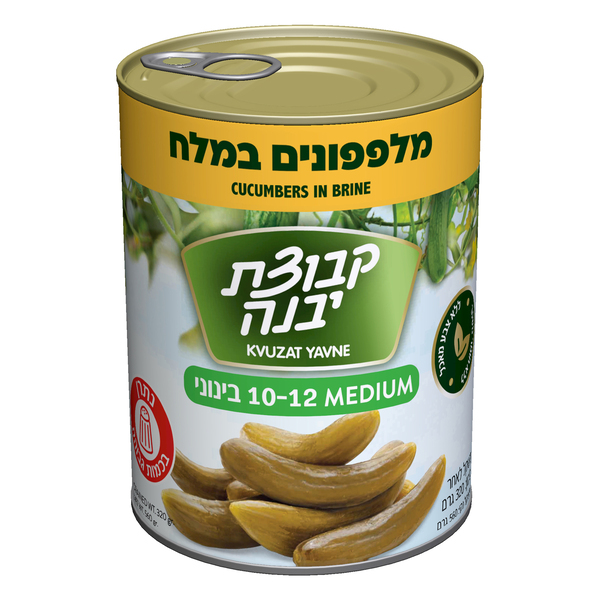 מלפפונים במלח 12-10 קבוצת יבנה 320 גרם