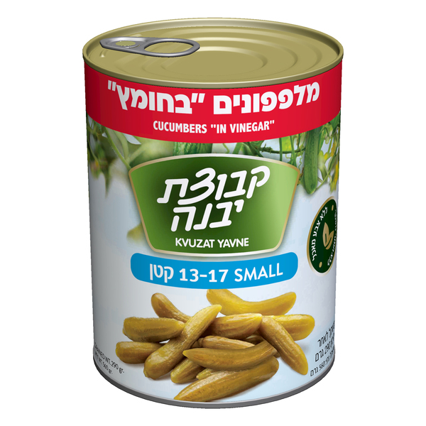 מלפפונים בחומץ 13-17 קטן A2 יבנה 540ג'
