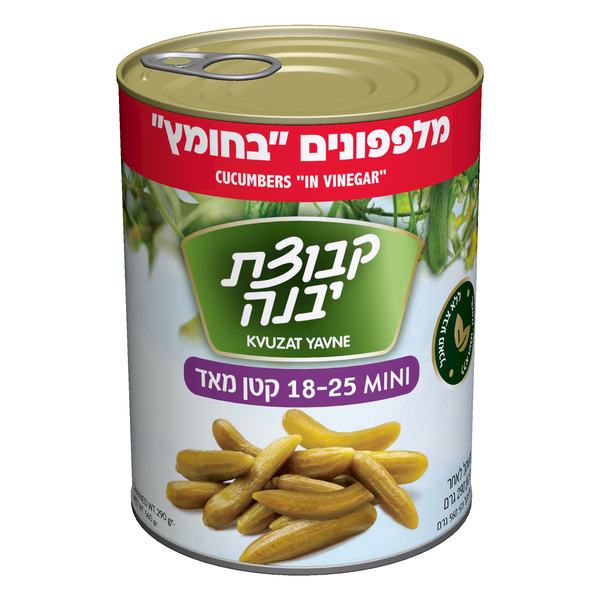 מלפפונים בחומץ 18-25 קבוצת יבנה 290 גרם