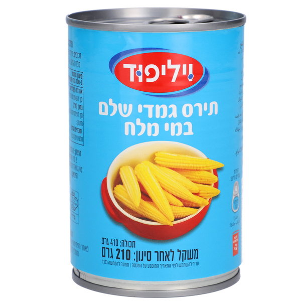 תירס גמדי ויליפוד 41