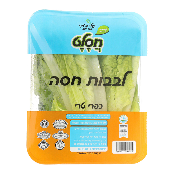 חסה לבבות קיסר חסלט כפרי טרי