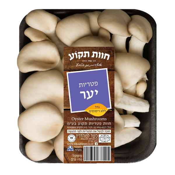 פטריות יער חוות פטריות תקוע 170 גרם