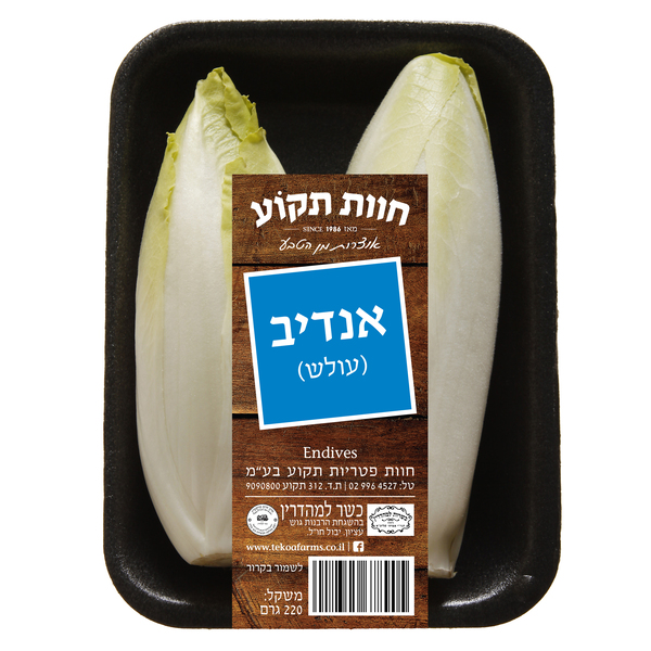 אנדיב בלגי אמיתי חוו