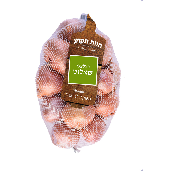 בצלצלי שאלוט רשת(תקו