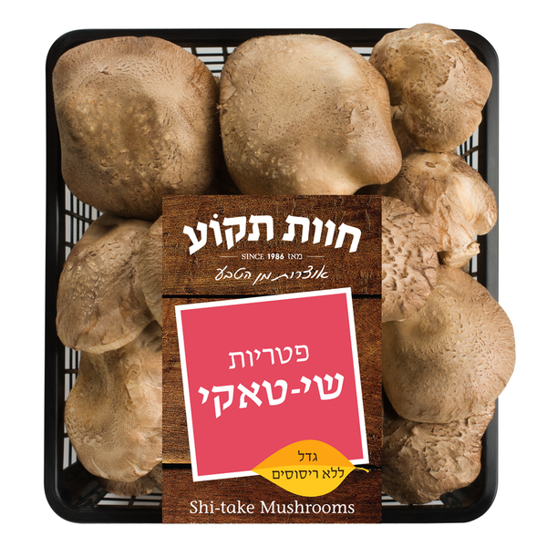 פטריות שיטאקי חוות ת