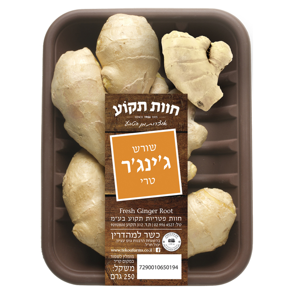 זנגוויל (ג'ינג'ר)ארוז מגשית