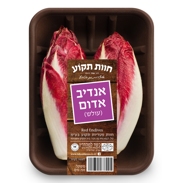 אנדיב אדום ארוז חוות
