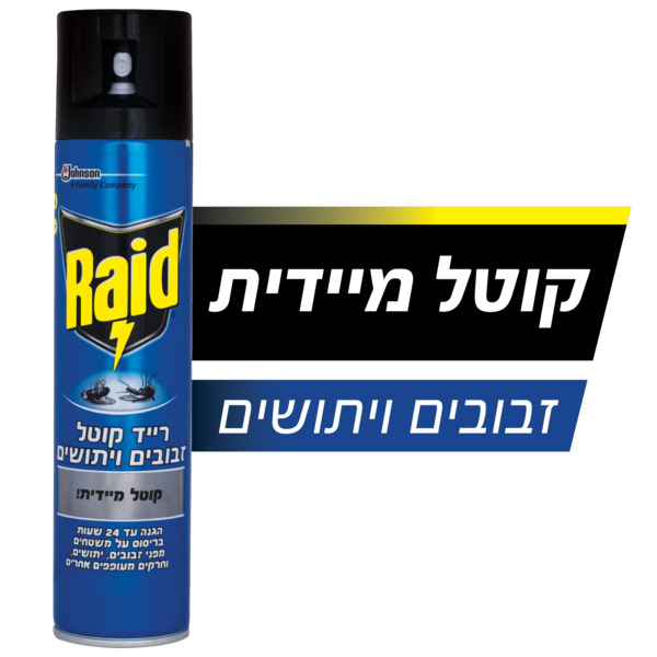 רייד אירוסול קוטל מעופפים 300מ"ל