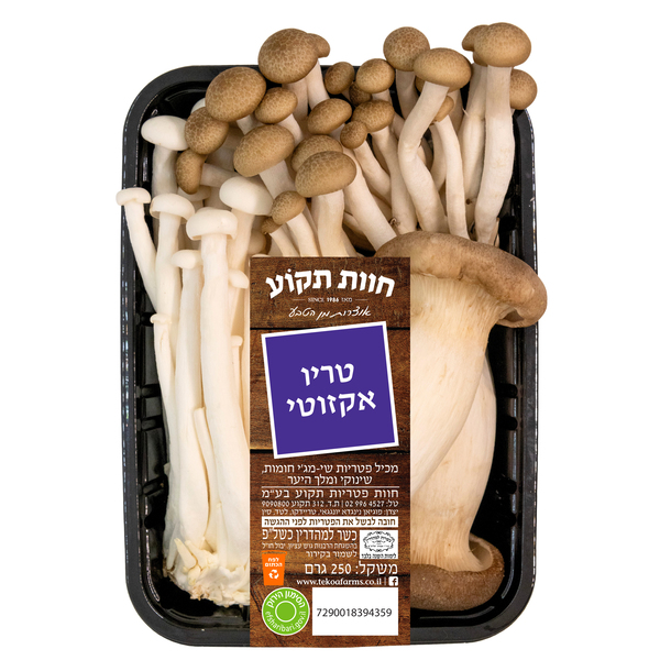 פטריות טריו אקזוטי מארז