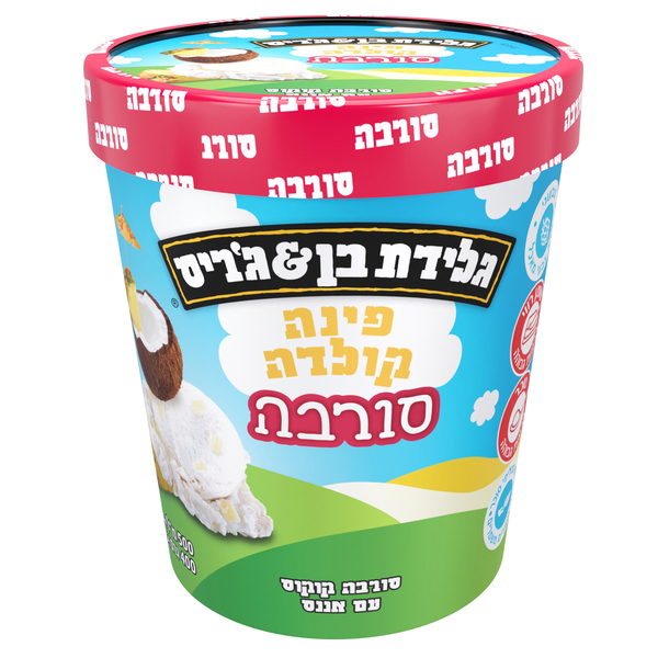 פיינט סורבה פינה קולדה 400 גרם