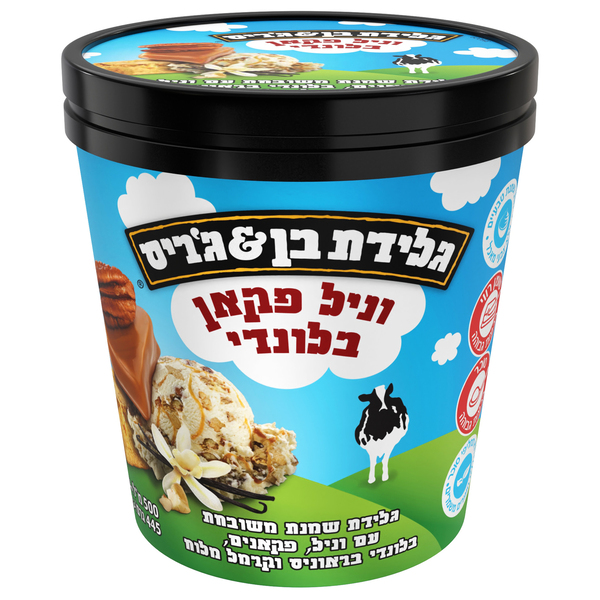 גלידת פיינטים וניל פקאן בלונדי, 441 גר