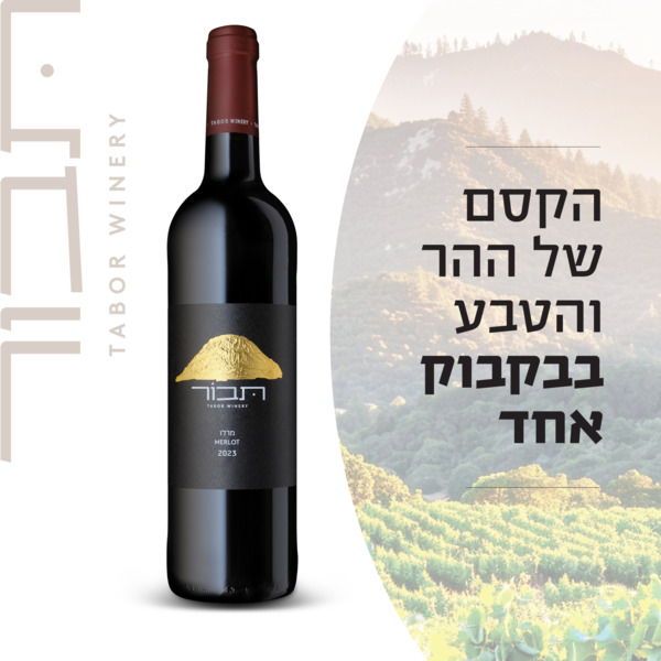 יין תבור מרלו 750 מ"ל