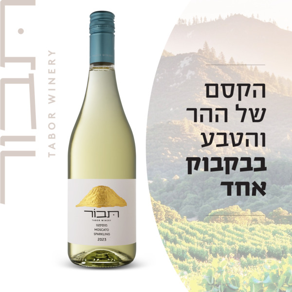 יין תבור מוסקטו לבן 750 מ"ל