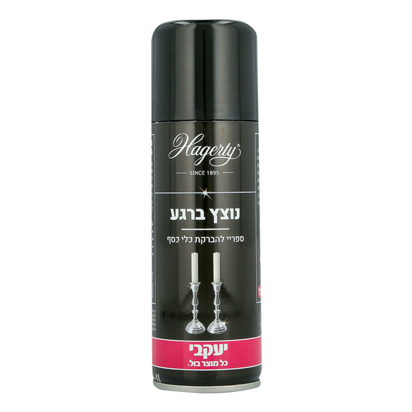 מבריק ומגן Hagerty לכלי כסף בין רגע 200 מל