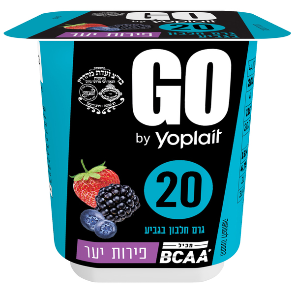 יוגורט GO בטעם פירות יער 20 גרם חלבון בגביע