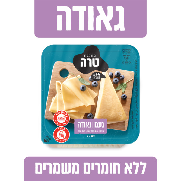פרוסות גבינה חצי קשה 30% שומן נעם 200 ג' טרה