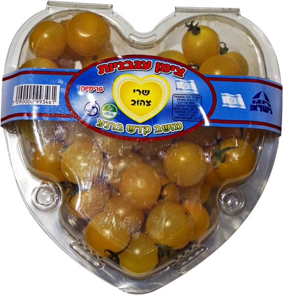 שרי צהוב ארוז