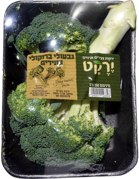 גבעולי ברוקולי צעירים