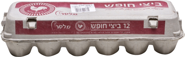 12 ביצים חופש L מ. ל