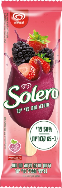 שלגון סולרו פרוט בוסט סורבה תות פרי יער