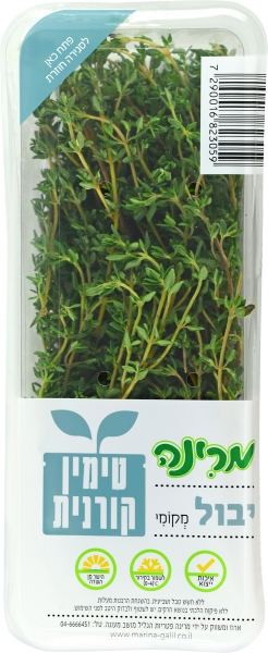 טימין