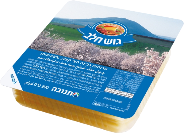 גבינה צהובה פרוסות 28%
