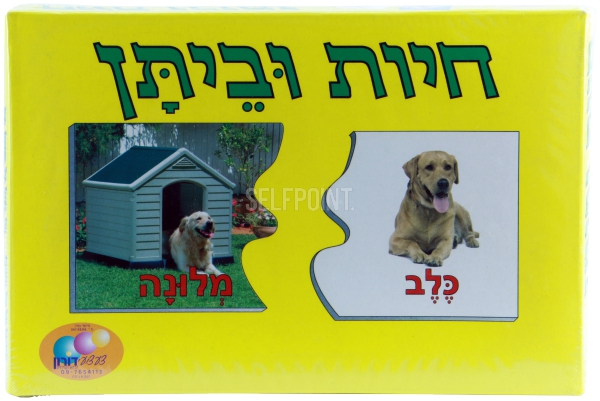 משחקים בקופסא