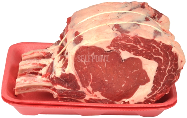 אנטריקוט עצם א.א מחיר לפ