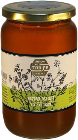דבש נוזלי 500 גר עין
