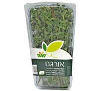 עלי אורגנו